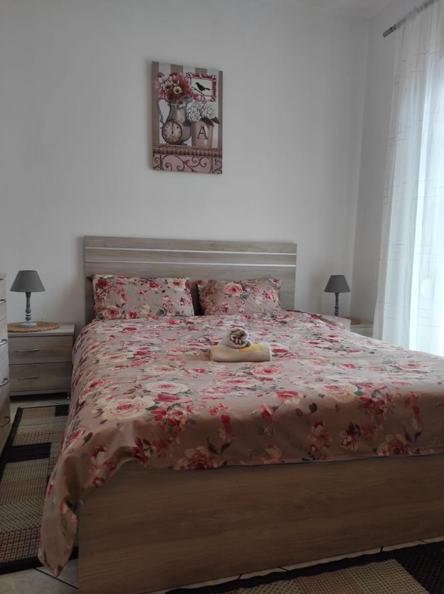 S.T Family Apartement Kalambaka Eksteriør billede